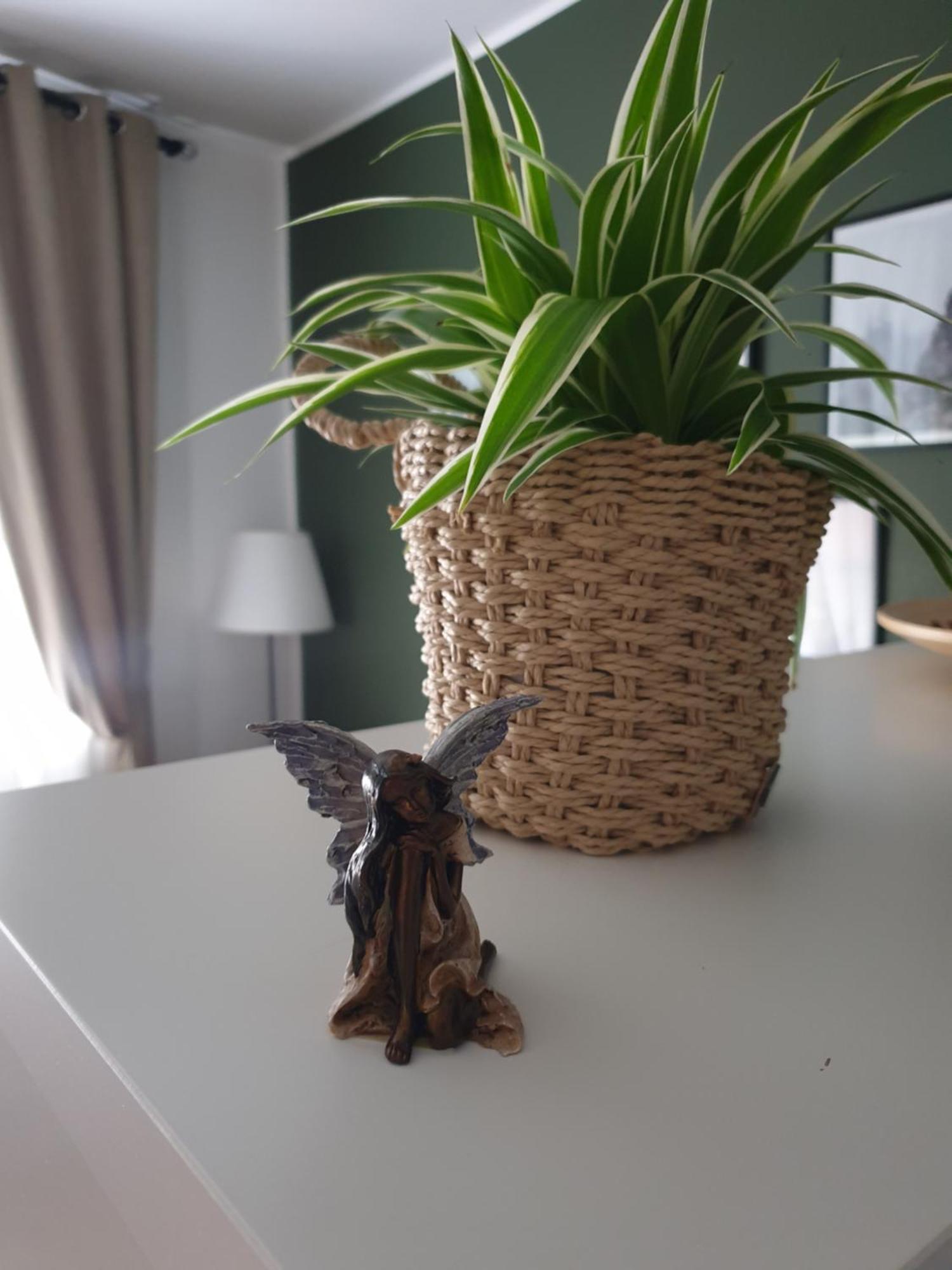 Apartma Thermos Krapinske Toplice Kültér fotó